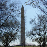 Washington DC 2007